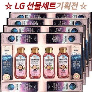 LG 생활건강 선물세트