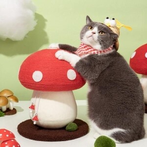 고양이 버섯기둥 장난감