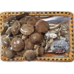 장수 표고버섯 선물세트 4호